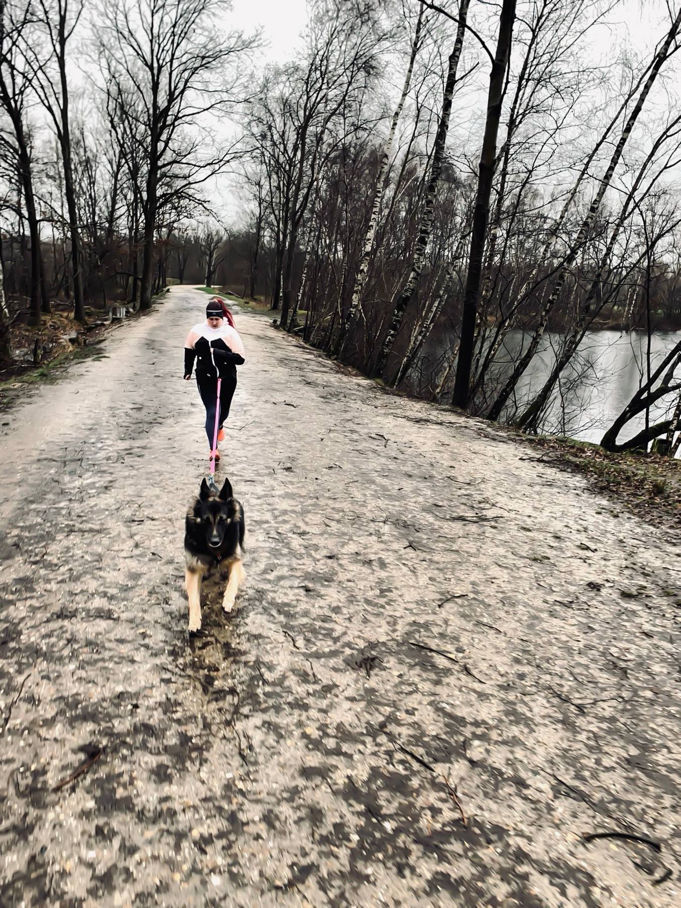 Melissa running with Arya out in front along a wooded lakeside path in winter