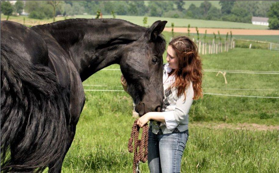 Melissa with long auburn hair standing with Helmer, her black Friesian horse, in a green paddock