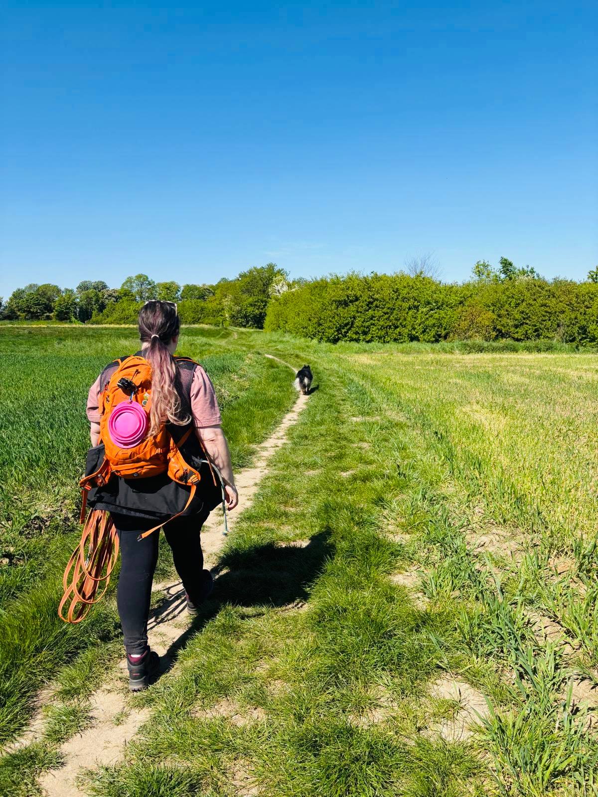 Walking through green fields with Arya