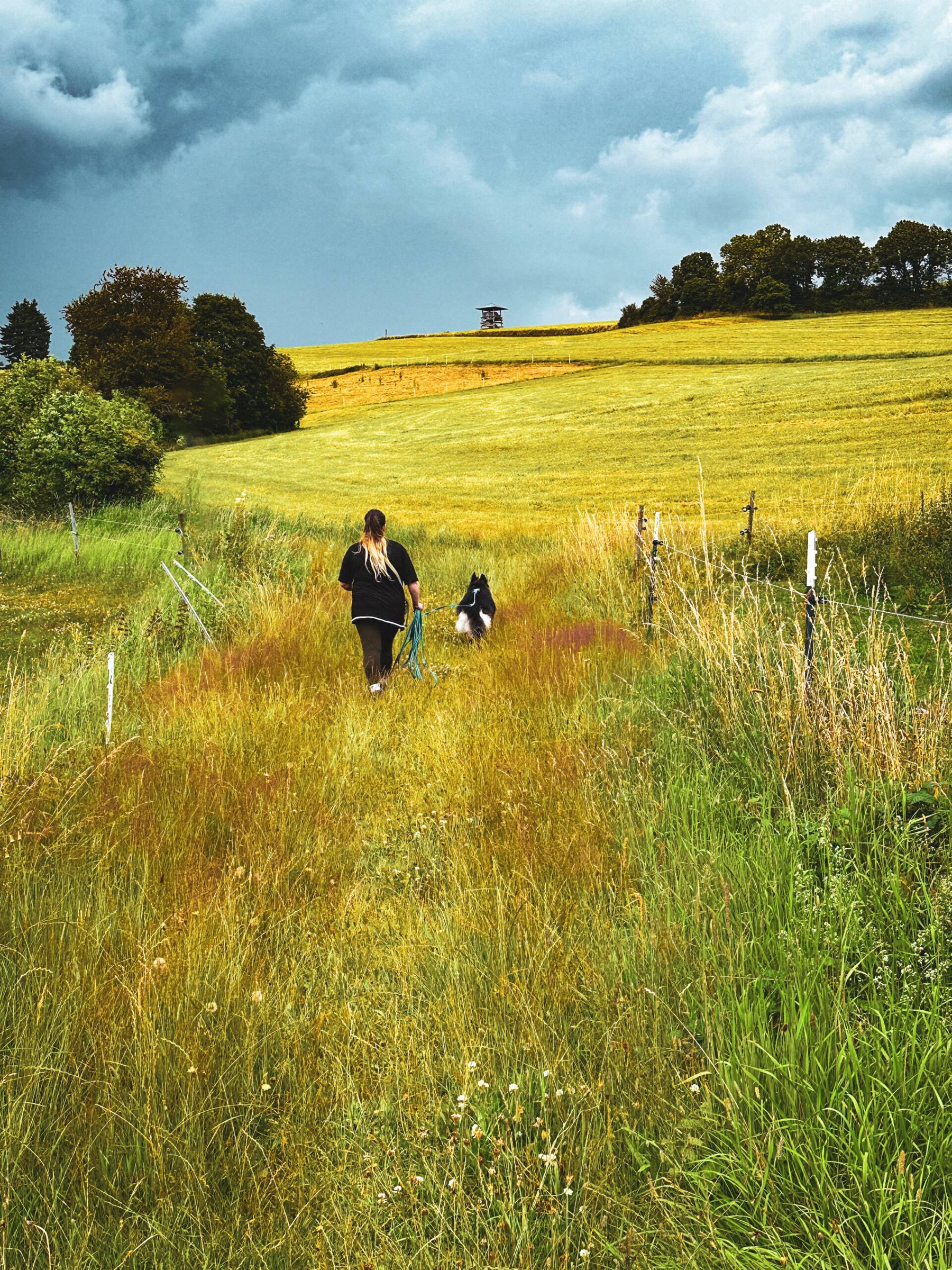 Melissa walking with Arya along a path through a golden summer field