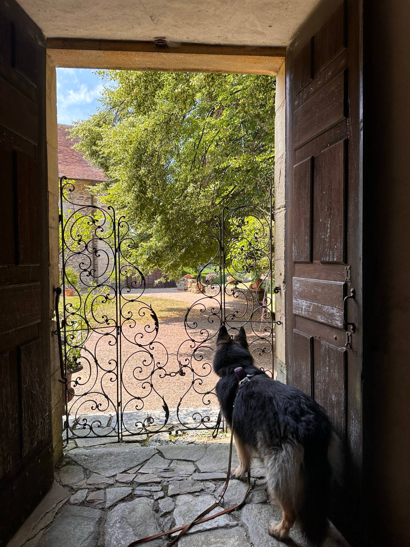 Arya looking out through an old wooden doorway towards a sunlit château garden