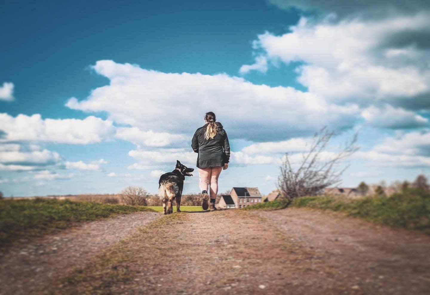 Arya walking ahead on a sunlit country path
